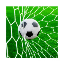 Match Training Junior Polypropylene Fiber Net 11 Person Soccer Goal Post Net